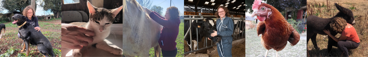 Plusieurs photos montrant Marie Fréville ostéopathe animalier avec des animaux