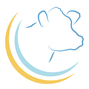 Icône bovin du site de Marie Fréville ostéopathe animalier