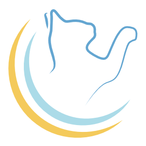 Icône chat du site de Marie Fréville ostéopathe animalier