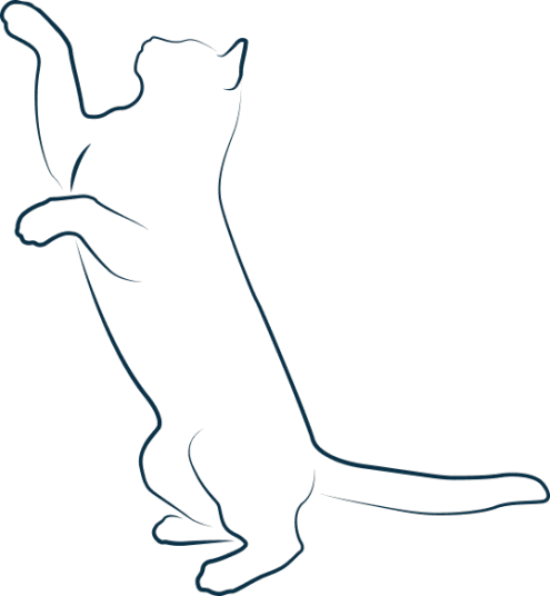 Illustration représentant un chat