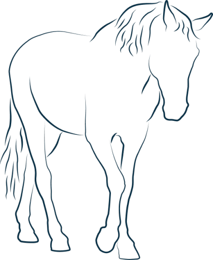 Illustration représentant un cheval qui marche