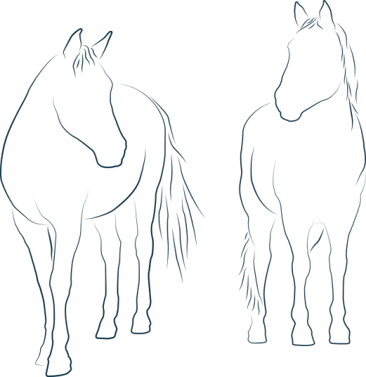Illustration représentant deux chevaux