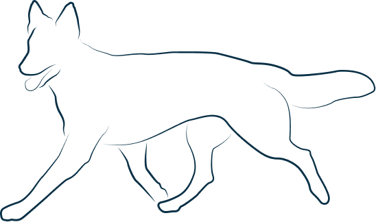 Illustration représentant un chien