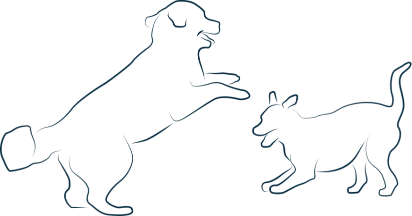 Illustration représentant deux chiens qui jouent