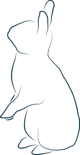 Illustration représentant un lapin