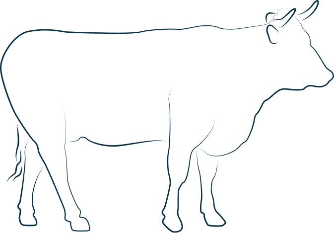 Illustration représentant une vache de profil
