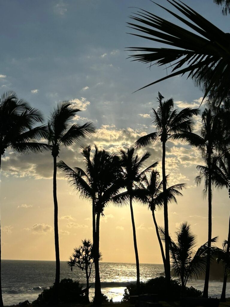 photo d'un paysage sur l'île de la Réunion