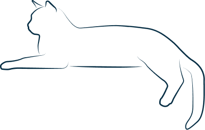 illustration de chat couché